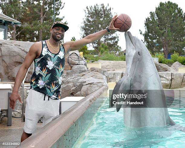 In this handout photo provided by SeaWorld San Diego, NBA superstar Dwyane Wade makes a new friend in Crunch the bottlenose dolphin at SeaWorld San...