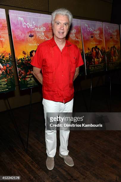 David Byrne attends the "Mood Indigo" New York premiere at Tribeca Grand Hotel on July 16, 2014 in New York City.