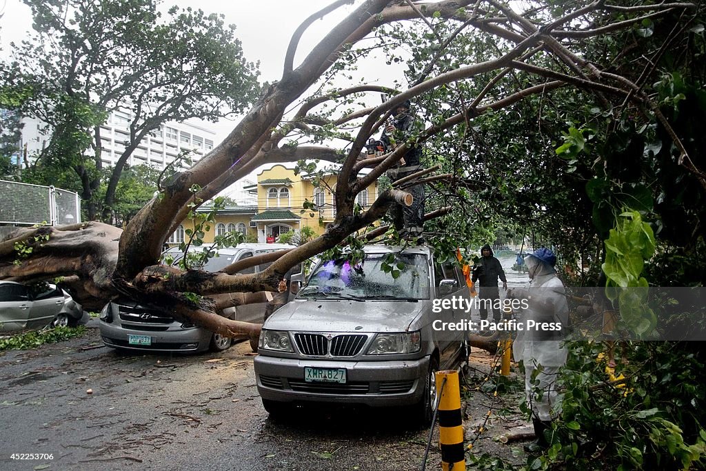 A giant tree crushes three cars nearby a private subdivision...