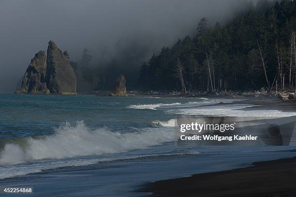 Fog bank over Rialto Beach on the coast of the Olympic Peninsula in the Olympic National Park in Washington State, USA.