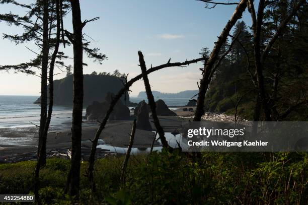 View of Ruby Beach in the Olympic National Park in Washington State, USA.