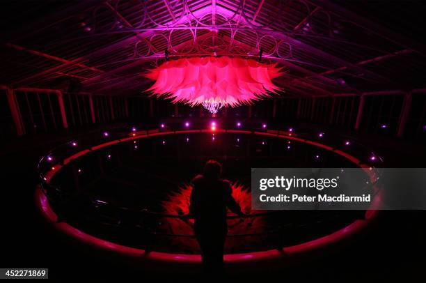 Artist Helen Davies looks up at her giant Lotus Flower installation in the Water Lily House at The Royal Botanic Gardens, Kew on November 27, 2013 in...