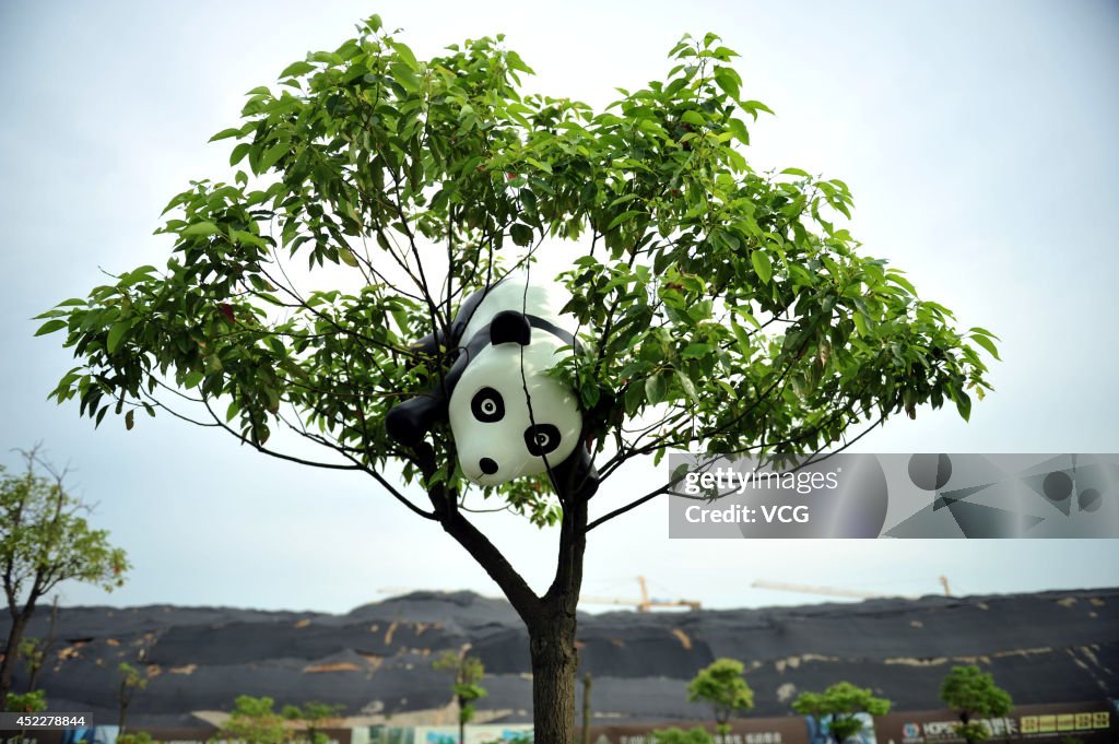 Bamboo Panda Exhibition In Yangzhou