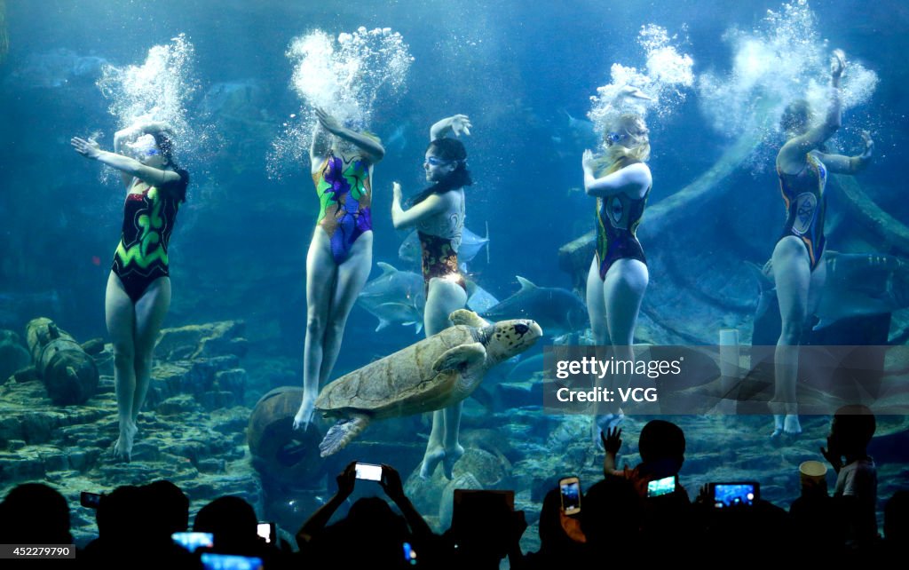 Russian Swimmers Perform Underwater Ballet In Wuhan