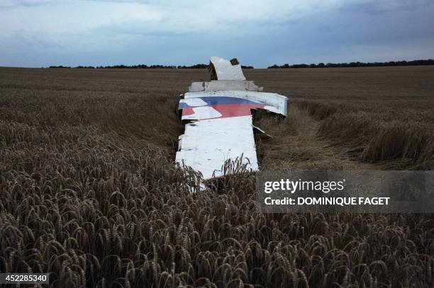 Picture taken on July 17, 2014 shows the wreckages of the malaysian airliner carrying 295 people from Amsterdam to Kuala Lumpur after it crashed,...