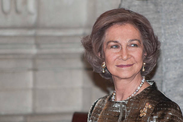 Queen Sofia of Spain attends 'Iberoamerican Poetry Queen Sofia of Spain Prize' 22nd Edition at the Royal Palace on November 27, 2013 in Madrid, Spain.