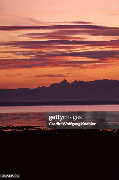 Washington, Skagit River Mud Flats At Sunset With Olympic Mountains In Background.