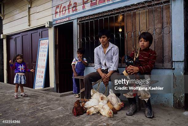 Ecuador, Amazon Basin, Coca, Street Scene With Father & Son Selling Chickens.