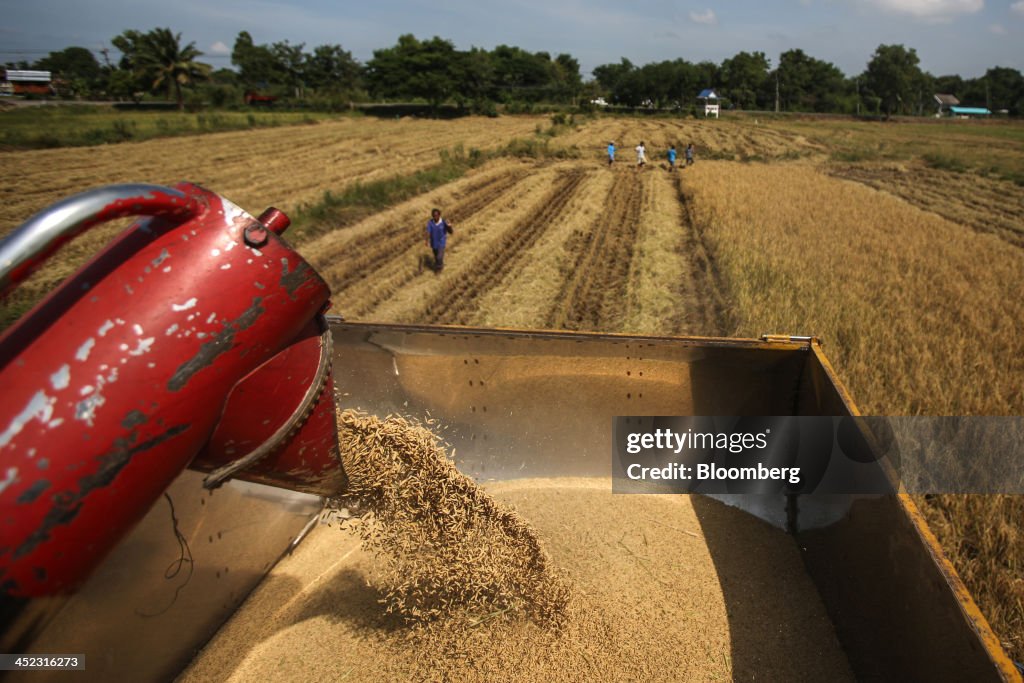 Views Of Rural Areas As Political Upheaval Reveals Rifts in Thai Society