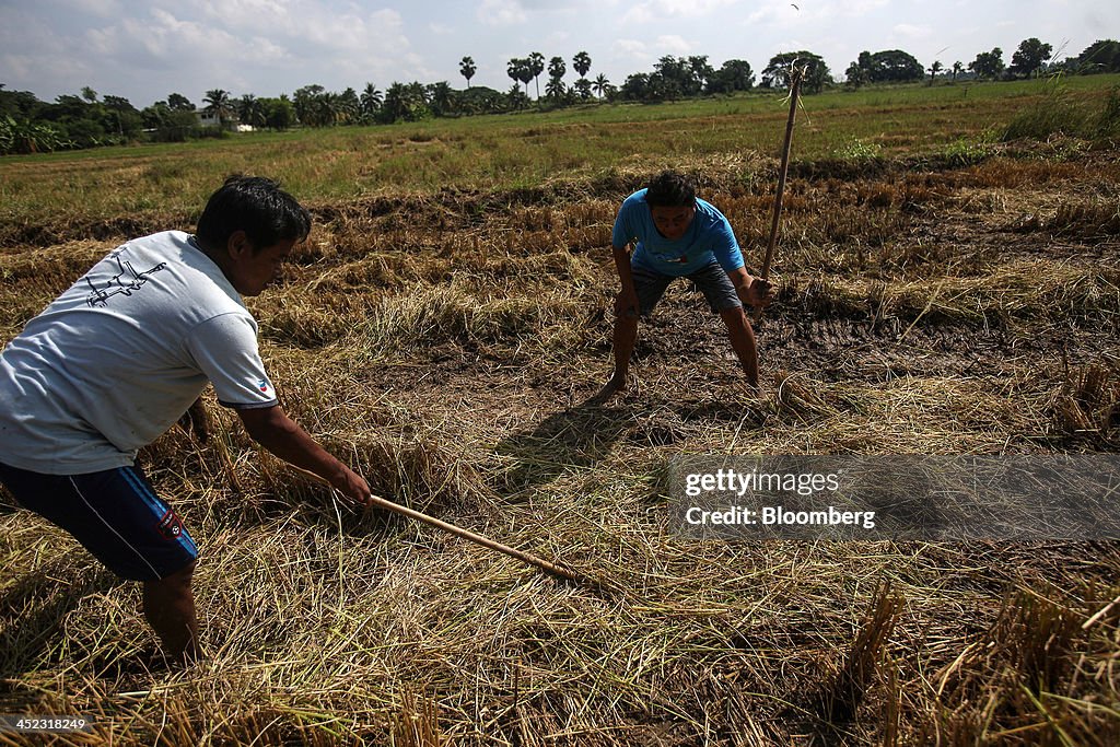 Views Of Rural Areas As Political Upheaval Reveals Rifts in Thai Society