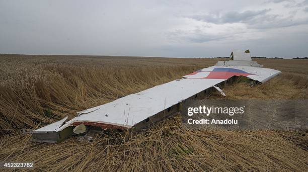 Part of plane is seen amongst the wreckages of a Malaysia Airlines Boeing 777 carrying 295 people from Amsterdam to Kuala Lumpur after it was downed...