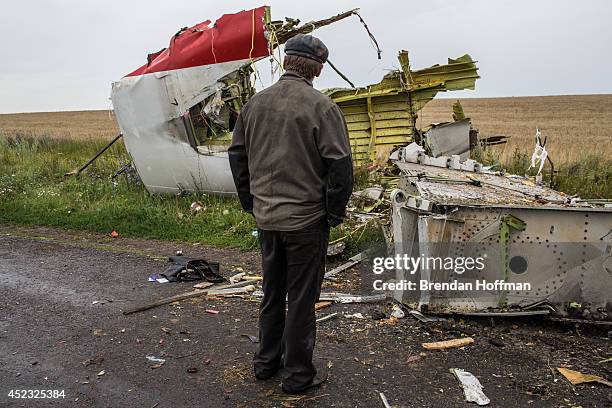 Man looks at the wreckage of passenger plane Malaysia Airlines flight MH17 on July 18, 2014 in Grabovka, Ukraine. Malaysia Airlines flight MH17...