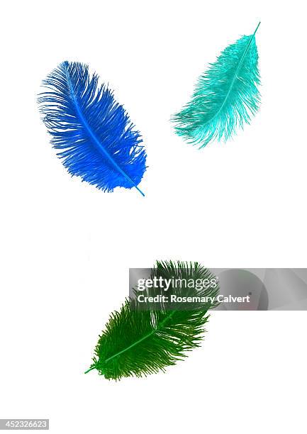 bright floating feathers on white. - feather floating stock pictures, royalty-free photos & images