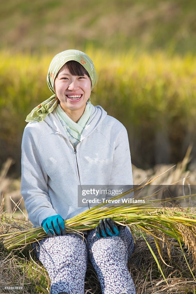 A woman holding cut rice stalks in a rice field