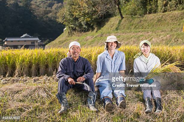 3 young farmers friends sitting in a rice field - 農作業 ストックフォトと画像