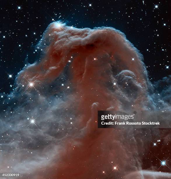 infrared view of the horsehead nebula. - nebulosa cabeza de caballo fotografías e imágenes de stock