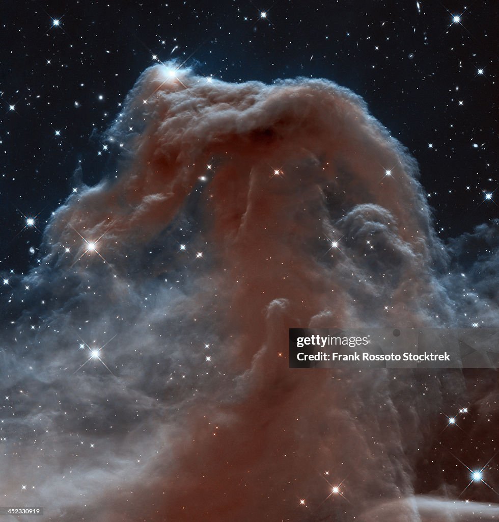 Infrared view of the Horsehead Nebula.