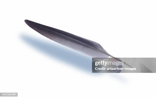 birds feather on white with shadow - feather floating stock pictures, royalty-free photos & images