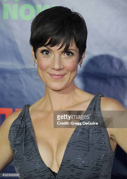 Actress Zoe McLellan arrives at the 2014 Television Critics Association Summer Press Tour - CBS, CW And Showtime Party at Pacific Design Center on...