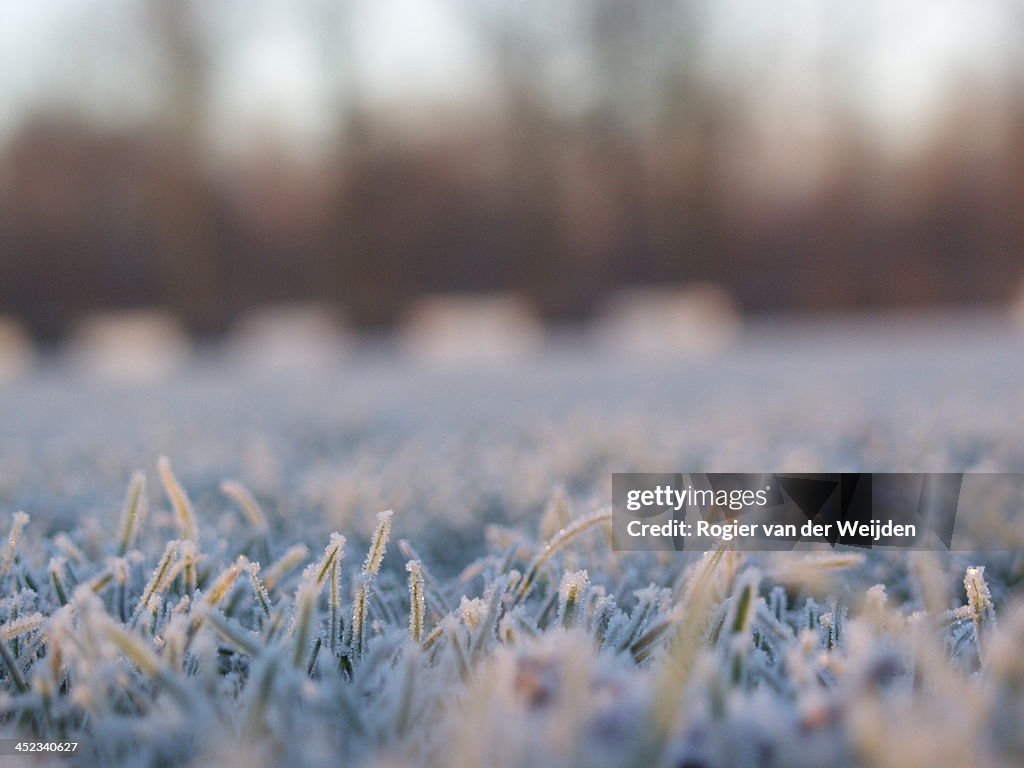 Frost on a football field