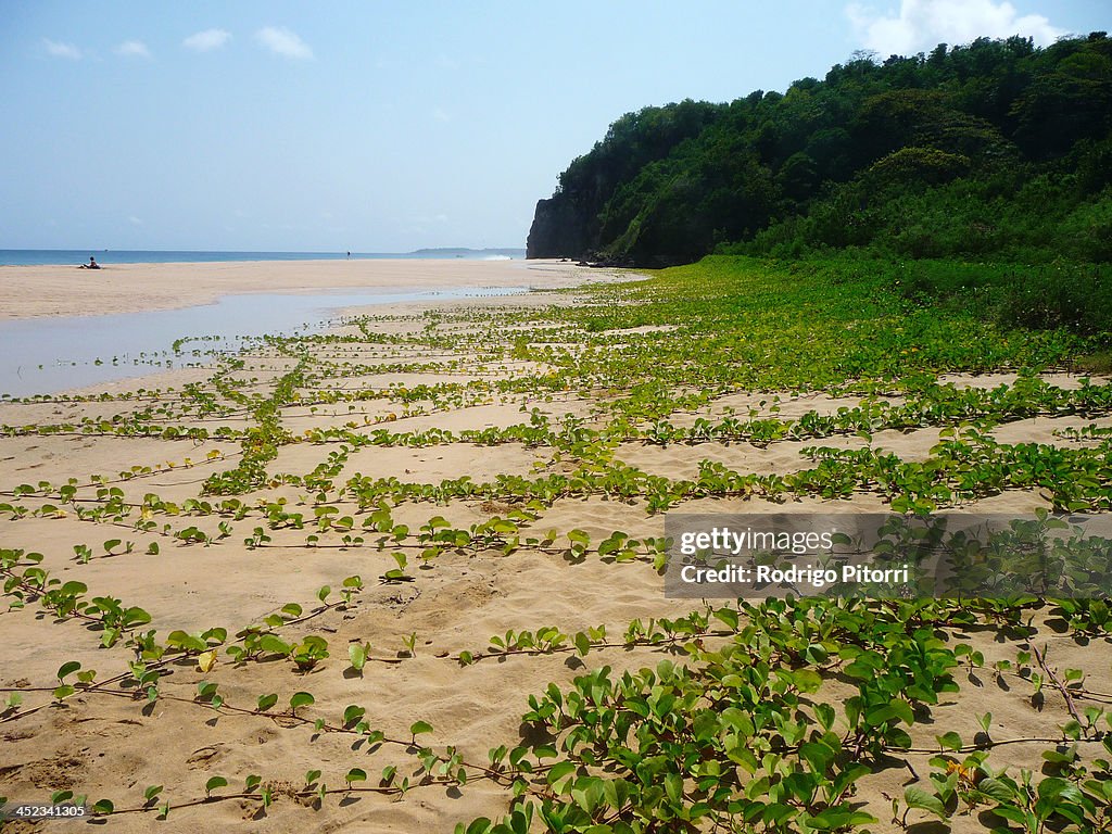 Fernando de Noronha Island