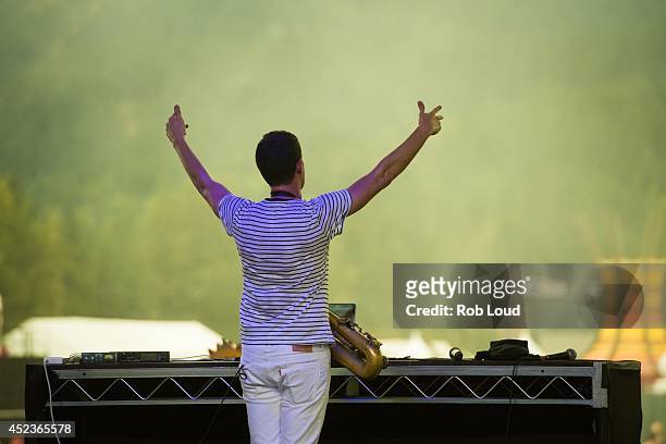 Dominic Lalli of Big Gigantic performs at the Pemberton Festival on July 18, 2014 in Pemberton, Canada.