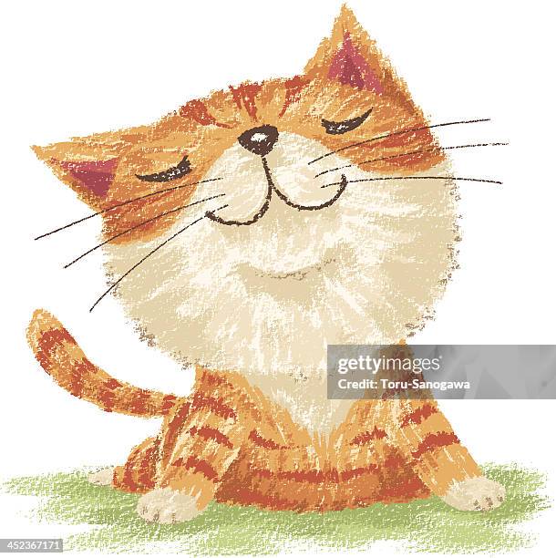 tabby comfortable - tabby stock illustrations