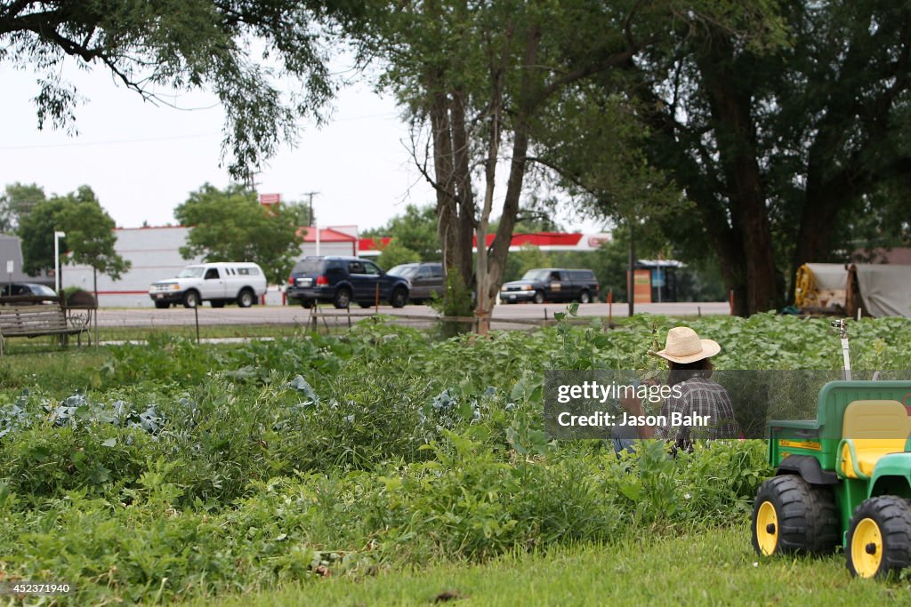 A Farm Oasis Amid Suburban Sprawl