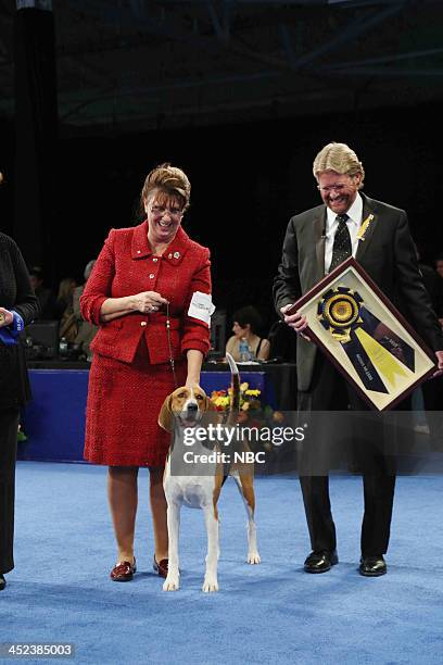 The 12th Annual Nation Dog Show Presented by Purina" in Philadelphia, PA 2013 -- Pictured: Jewel, an American Foxhound, wins Best in Show at The...