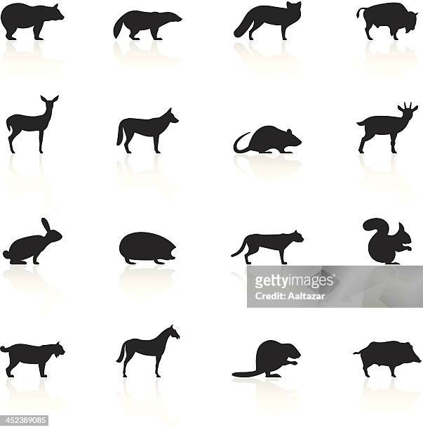 schwarze symbole-wilde tiere - black fox stock-grafiken, -clipart, -cartoons und -symbole