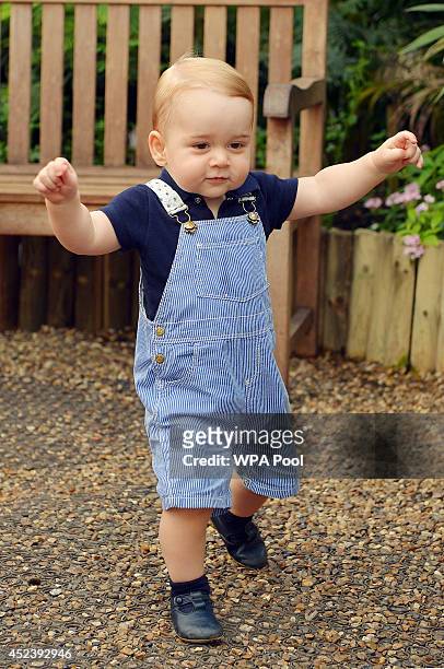 This photo dated Wednesday July 2 was taken to mark the first birthday of Prince George and shows the Prince during a visit to the Sensational...