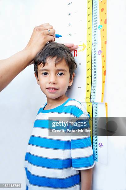 boy standing against height chart being measured - growth chart stock pictures, royalty-free photos & images