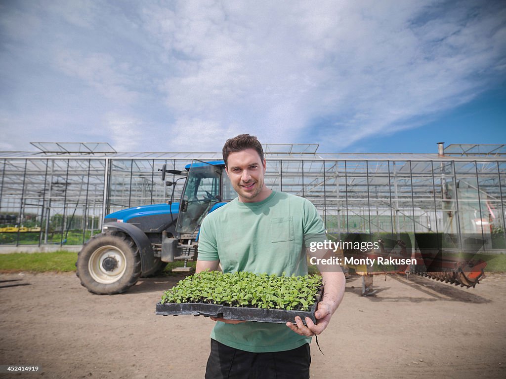 Herb farmer with tray of seedlings