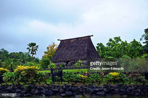 a traditional chief's bure with thatched roof atop a tropical hill. - fiji hut stock pictures, royalty-free photos & images