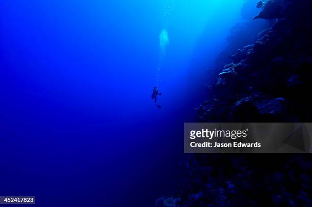 a scuba diver descends down a deep ocean reef wall into the abyss. - abyss stock pictures, royalty-free photos & images