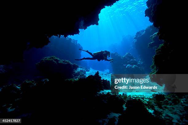 a scuba diver exploring an underwater cave in a tropical coral reef. - fiji photos et images de collection