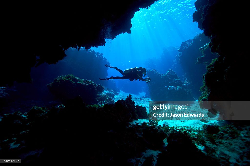 A scuba diver exploring an underwater cave in a tropical coral reef.