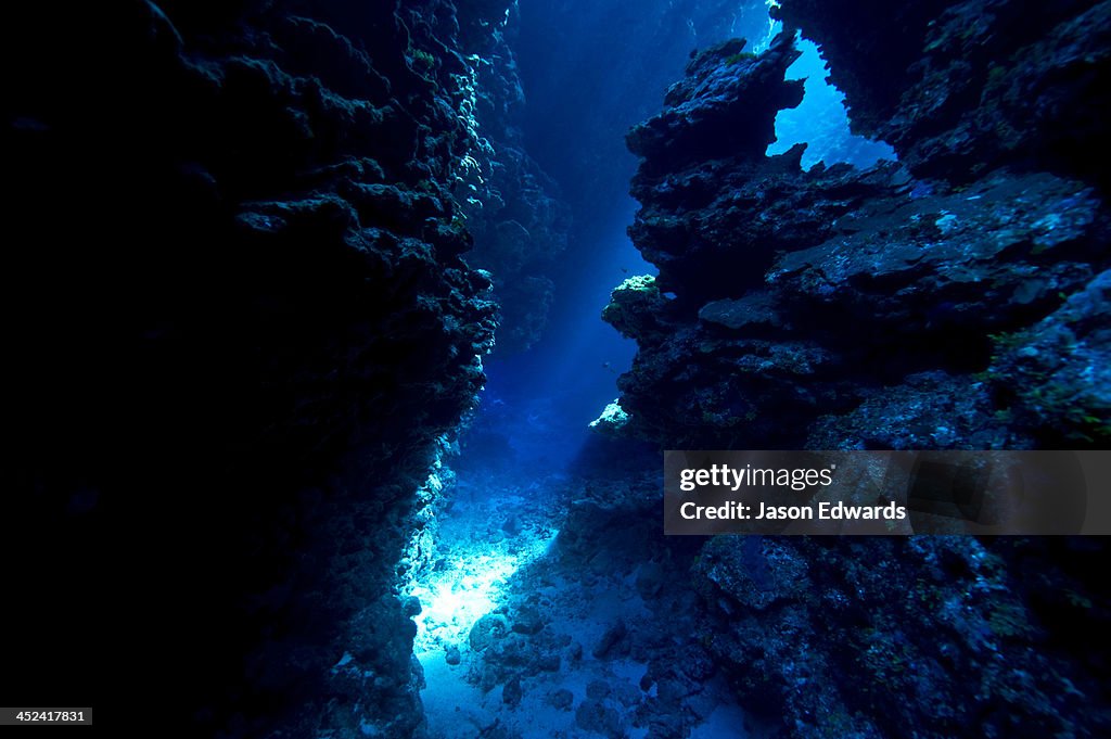 An underwater cave leads to a sunlit canyon between coral reefs.