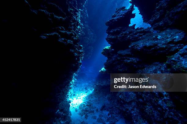 an underwater cave leads to a sunlit canyon between coral reefs. - fundo do mar imagens e fotografias de stock