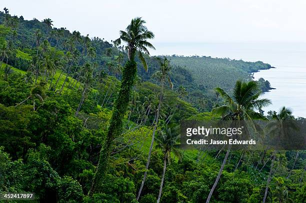 farmland and palm tree plantations on a forested tropical island. - fiji jungle stock pictures, royalty-free photos & images