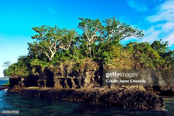 low tide exposes a limestone coral island covered in rainforest. - fiji jungle stock pictures, royalty-free photos & images