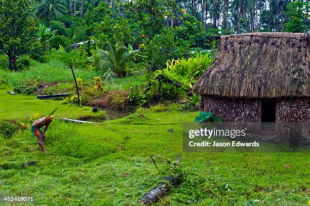 a farmer cuts the grass around his thatched hut with a machete. - fiji jungle stock pictures, royalty-free photos & images