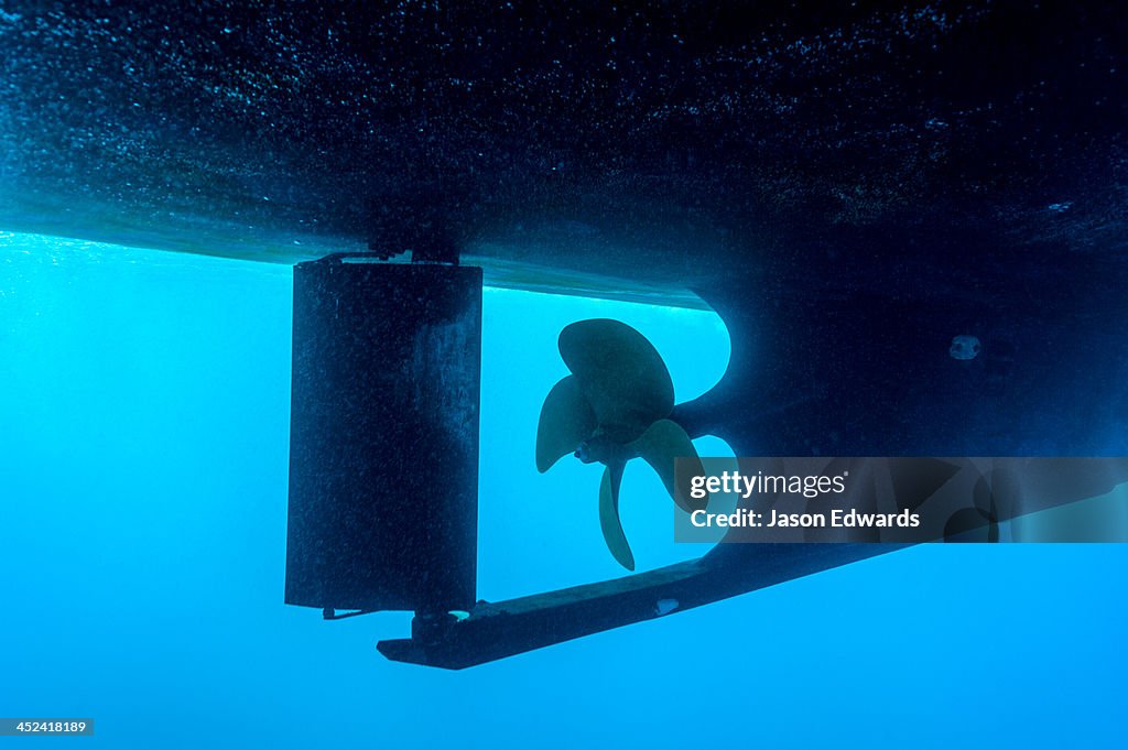 An underwater view of a boat propeller and rudder.
