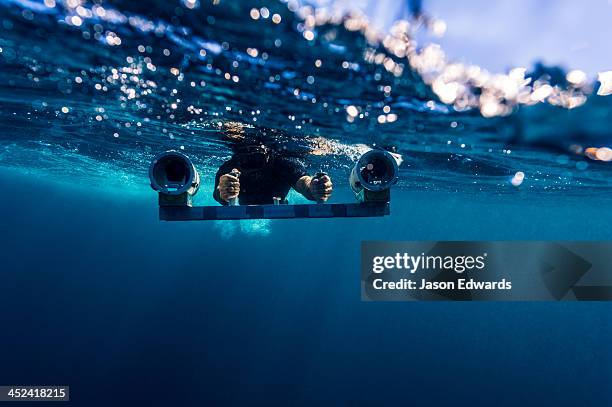 a scientist uses a stereo video camera to measure a whale sharks length. - oceania foto e immagini stock