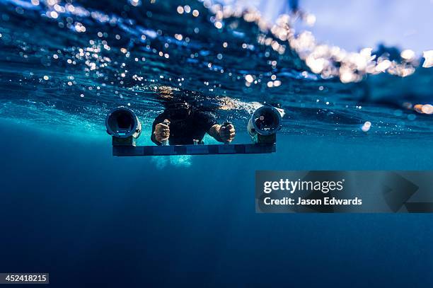 a scientist uses a stereo video camera to measure a whale sharks length. - climate research stock pictures, royalty-free photos & images