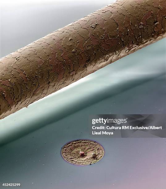 human hair  (diameter 0.0060 mm) beside a carved structure (0.0054 mm)  using an ion beam. the material used allows the creation of nanoscopic objects - human hair microscope stock pictures, royalty-free photos & images