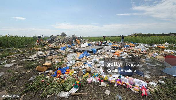 Search and rescue specialists inspect at the crash area of Malaysia Airlines Boeing 777, carrying 295 people from Amsterdam to Kuala Lumpur and...