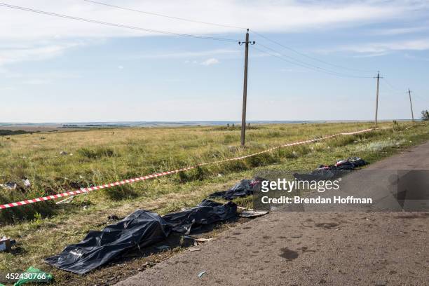 The bodies of victims of the crash of Malaysia Airlines flight MH17 await collection by the side of the road near the crash site on July 20, 2014 in...