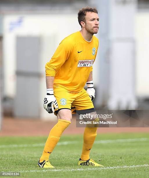 Antoine Gounet of Hibernian looks on during the Pre Season Friendly match between Stirling Albion and Hibernian at Forthbank Stadium on July 20, 2014...