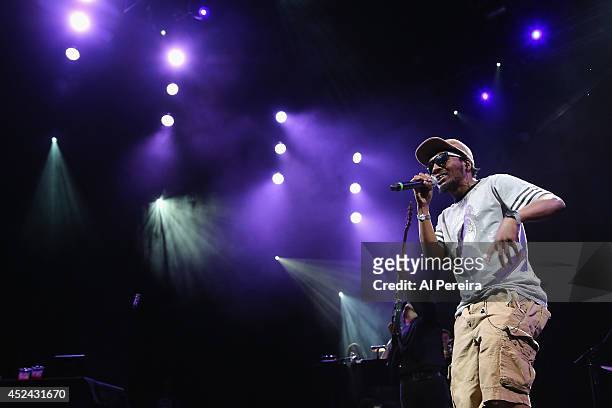 Rapper Del the Funky Homosapien of the Hip-Hop supergroup Deltron 3030 performs during 2014 Celebrate Brooklyn! at the Prospect Park Bandshell on...